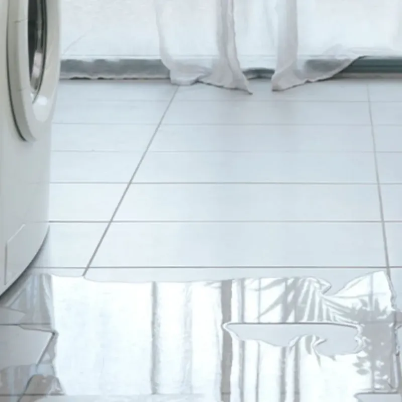 Appliance Leak Cleanup in Mount Carroll, IL