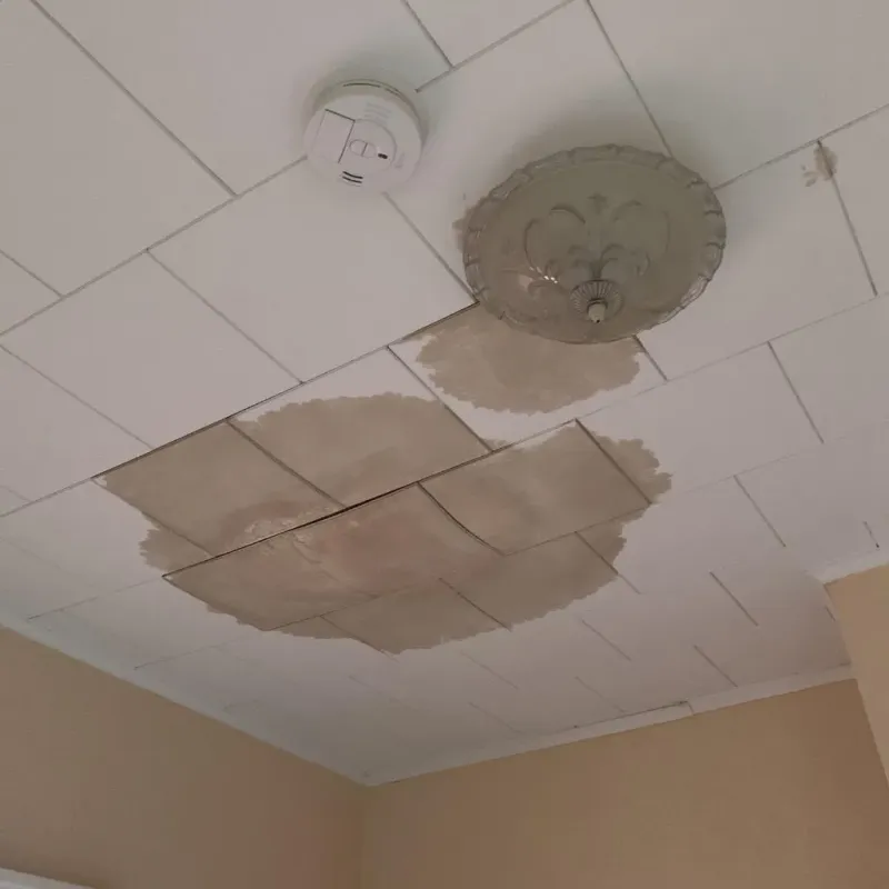 Ceiling Water Damage Repair in Mount Carroll, IL