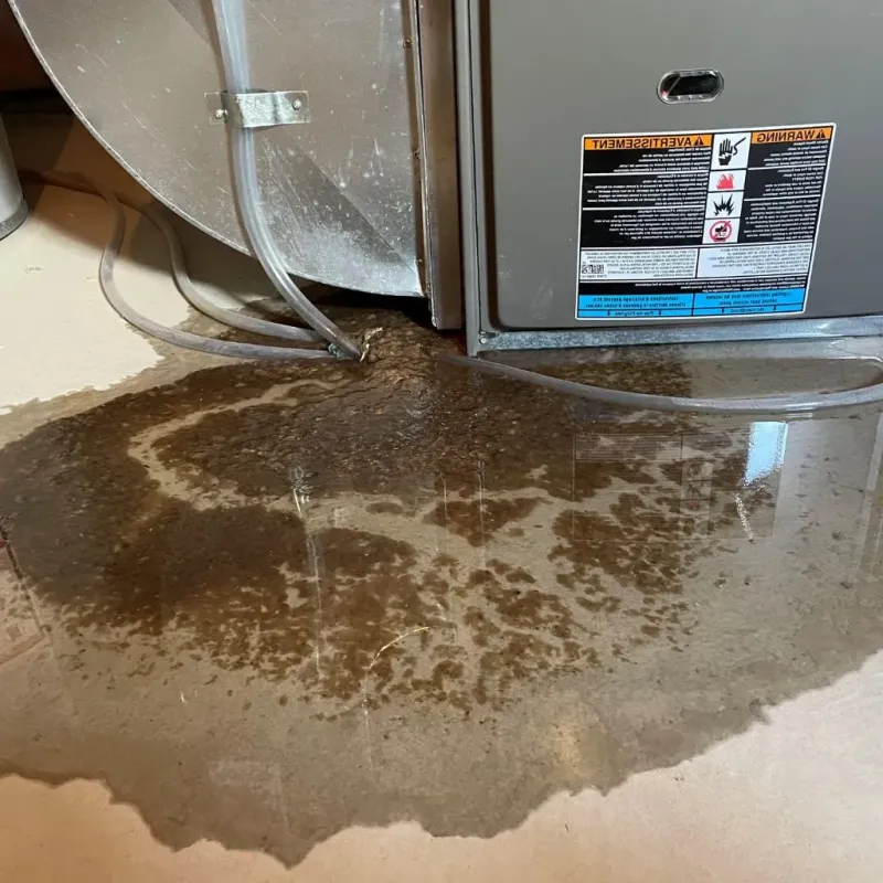 Pipe Burst and Leak Restoration in Mount Carroll, IL