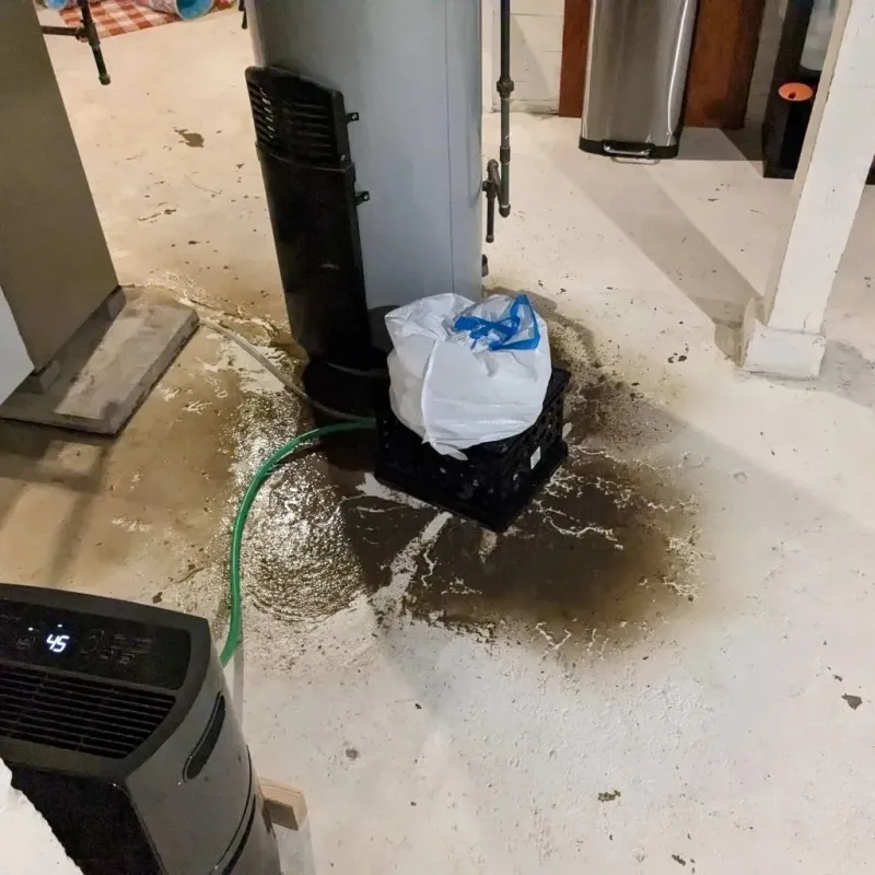 Sewage Backup Cleanup Service in Mount Carroll, IL